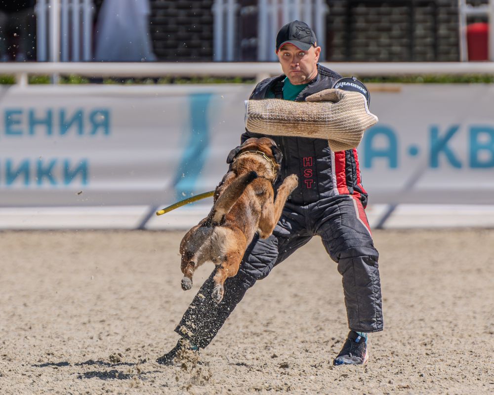 Photograph by Сергей Жиркевич