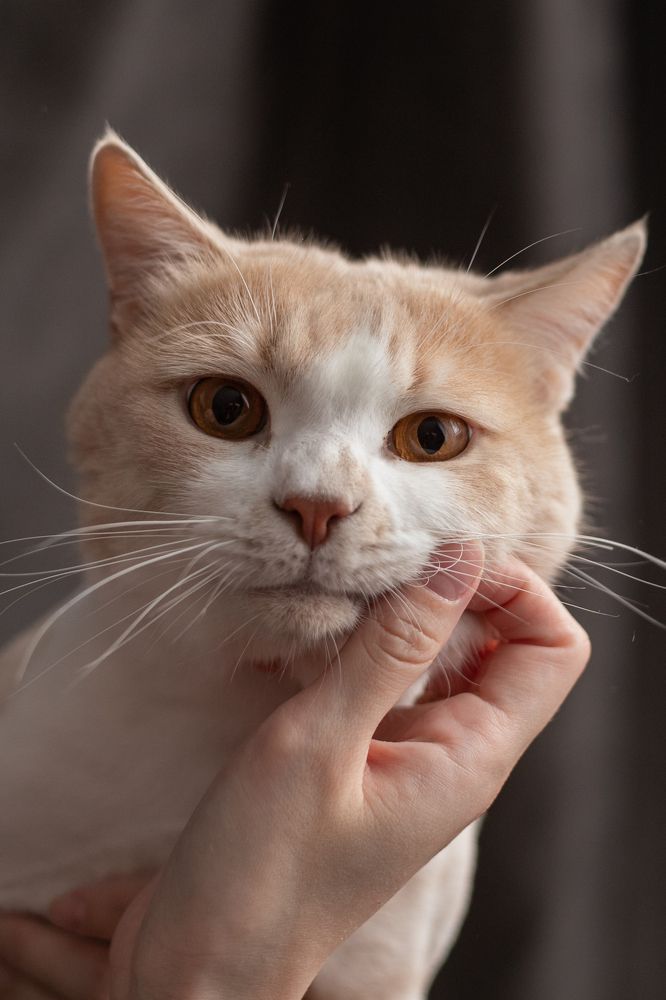 Photograph by Юлия Муртузова