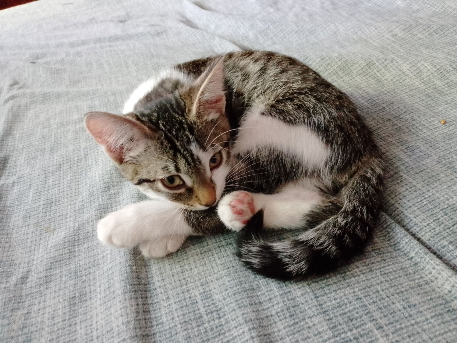 Photo #10774068