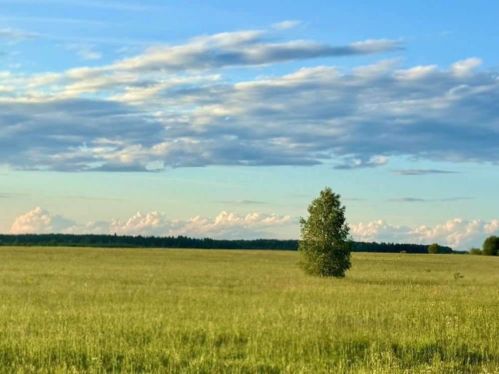 Photograph by Елена Карпухно