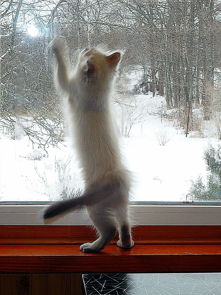 Photograph by Юрий Пучков