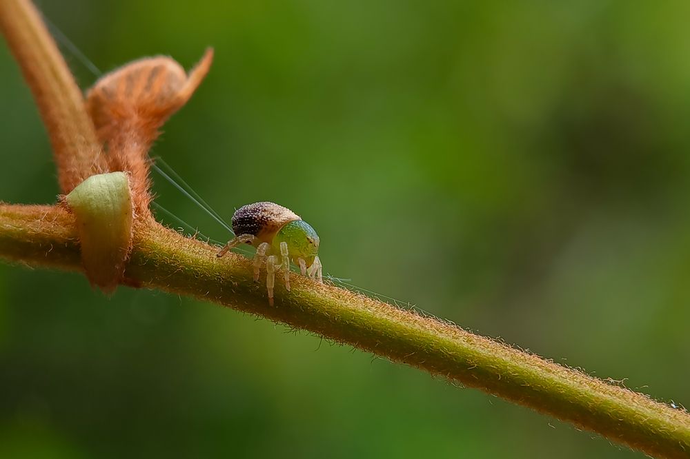 Photograph by Mukesh Kumar Mahato