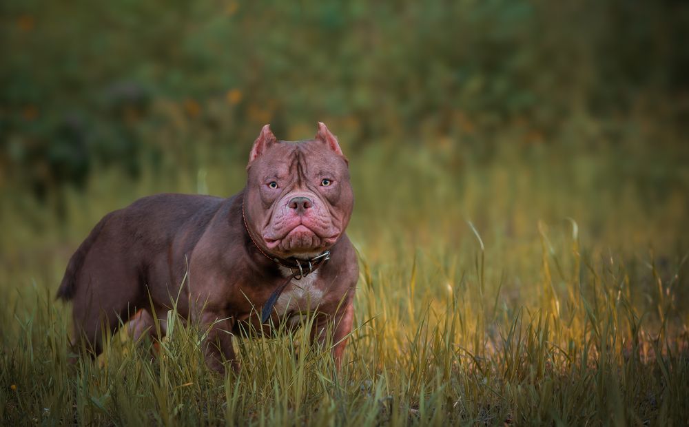 Photograph by Людмила Подольская