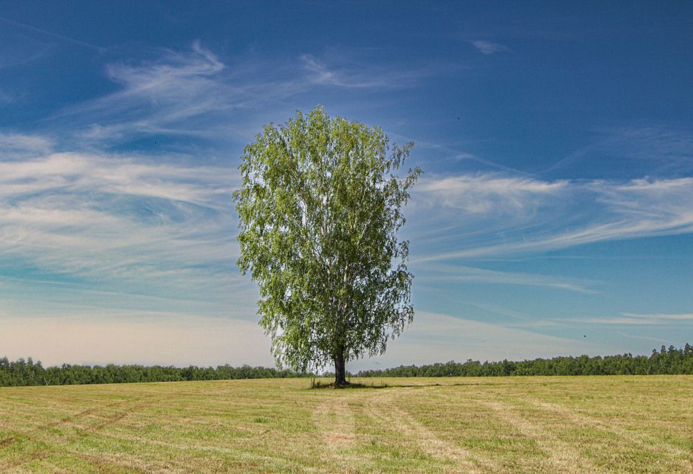 Photograph by Ольга Чибисова