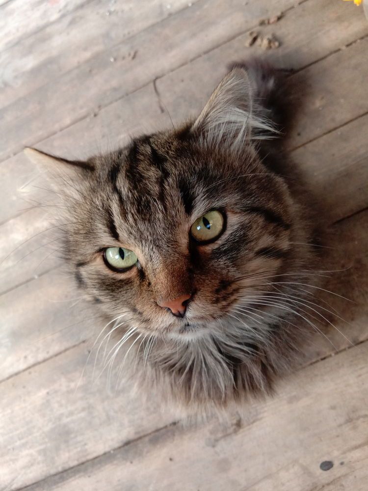 Photograph by Татьяна Стаскевич