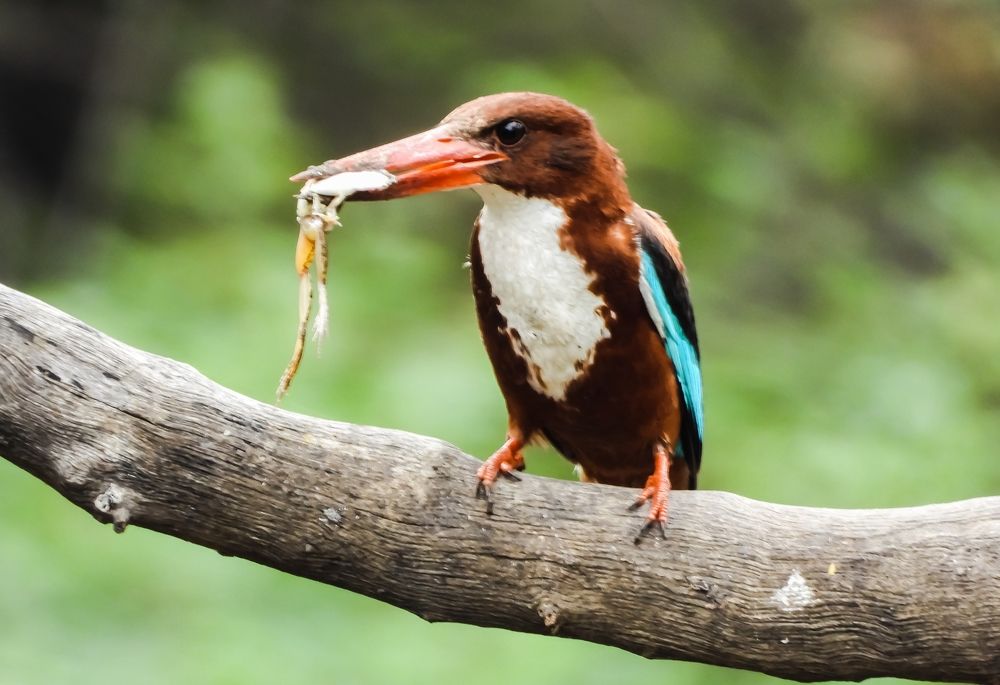 Photograph by Nikhil Raghuwanshi