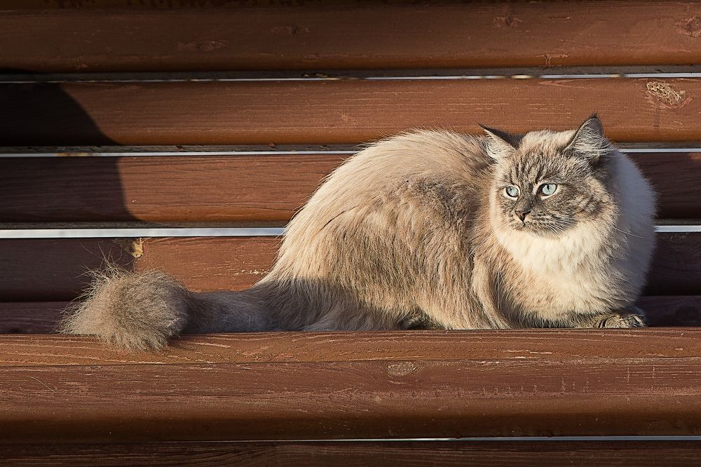 Photograph by Михаил