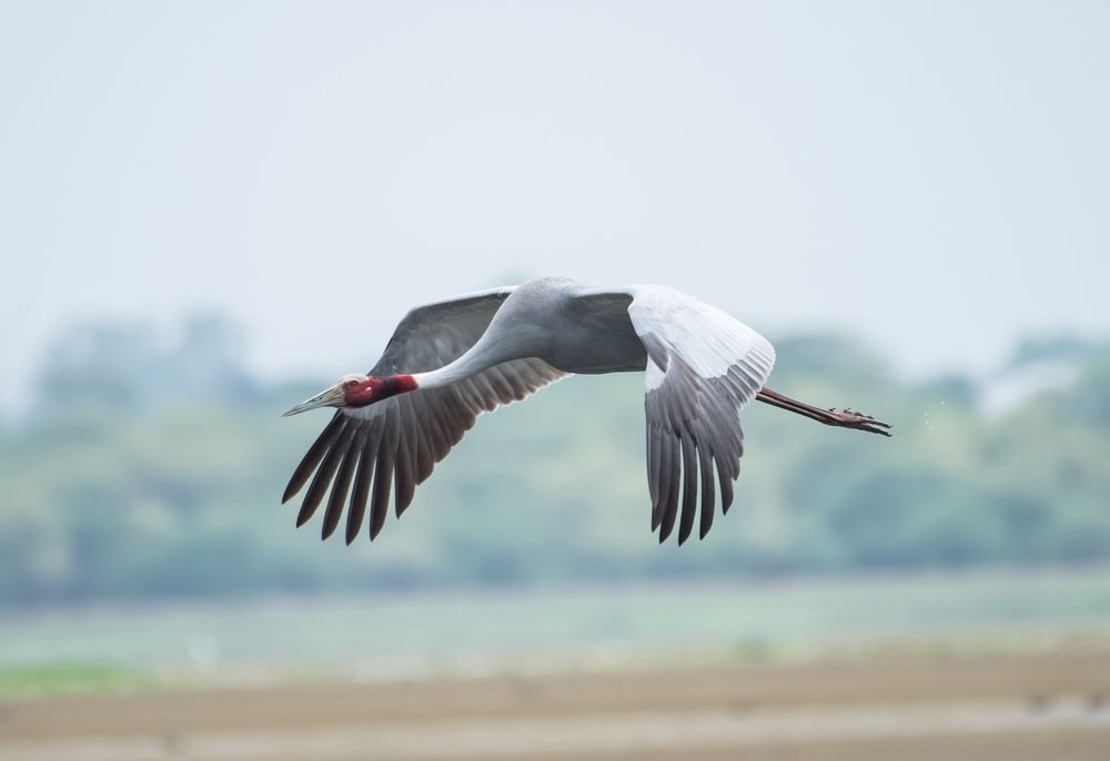 Photograph by Nikhil Raghuwanshi