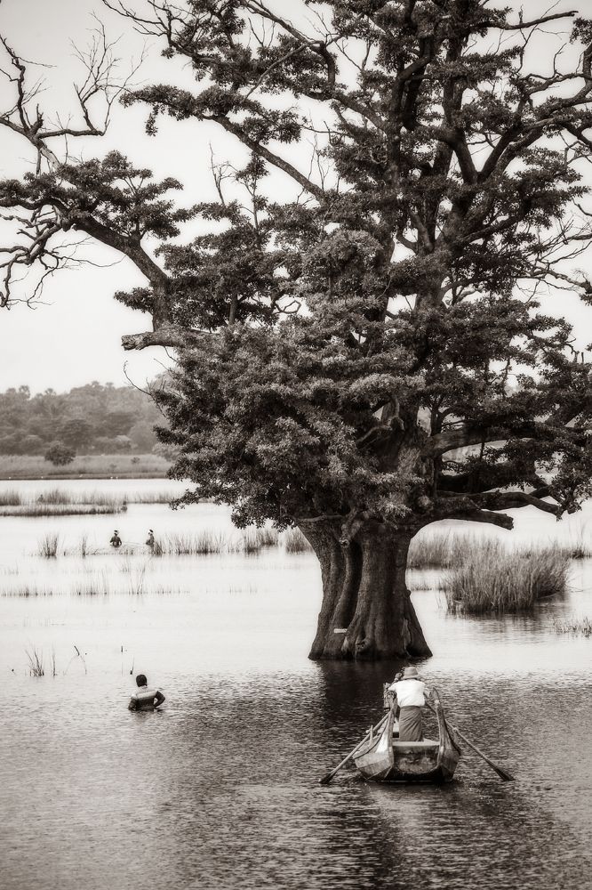 Фотография автора Анатолий