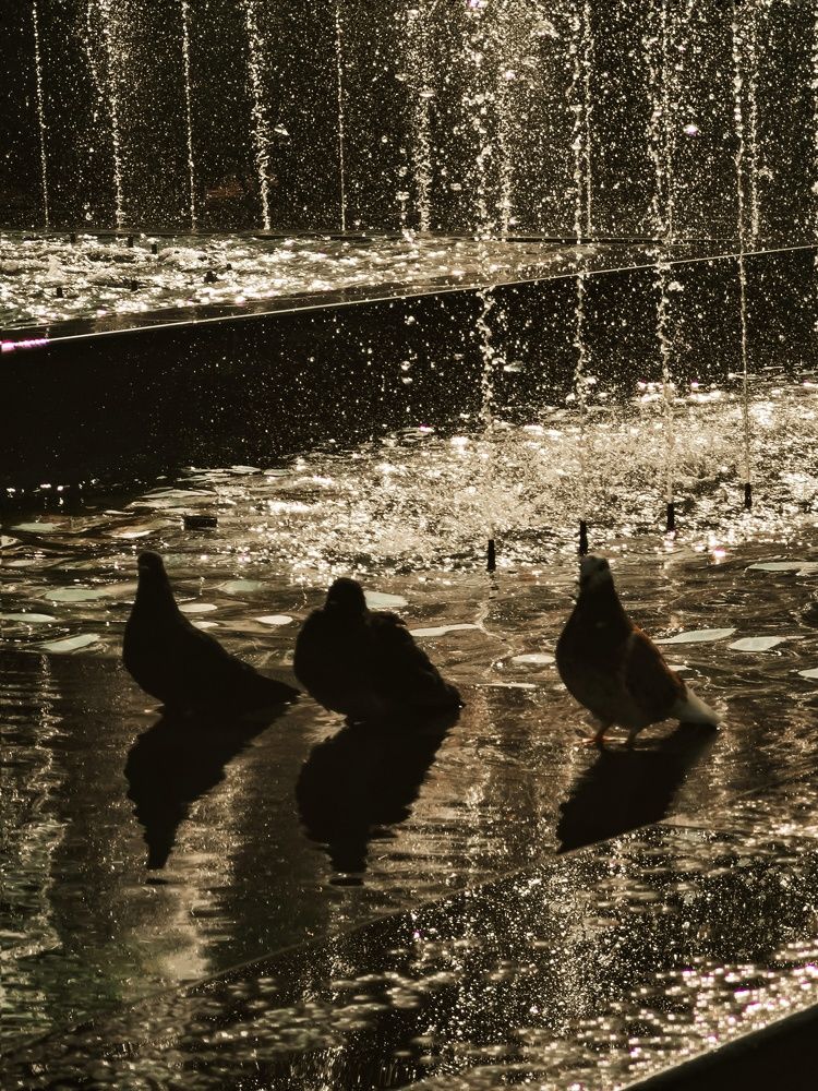 Photograph by Мария Цепилова