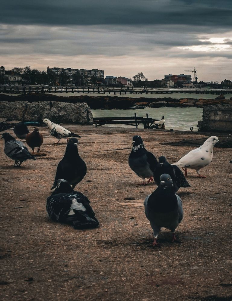 Photograph by Мария Цепилова