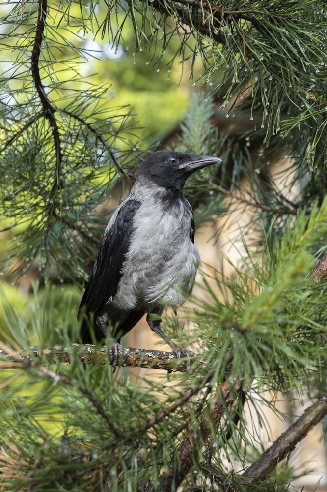 Photograph by Oksana Sysoeva