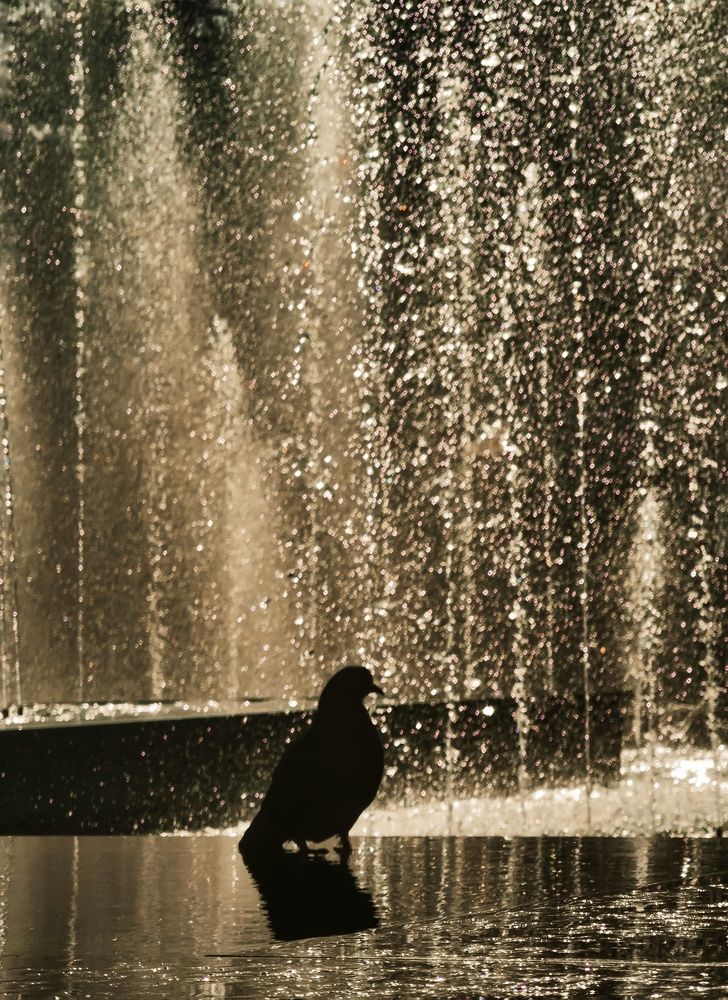 Photograph by Мария Цепилова