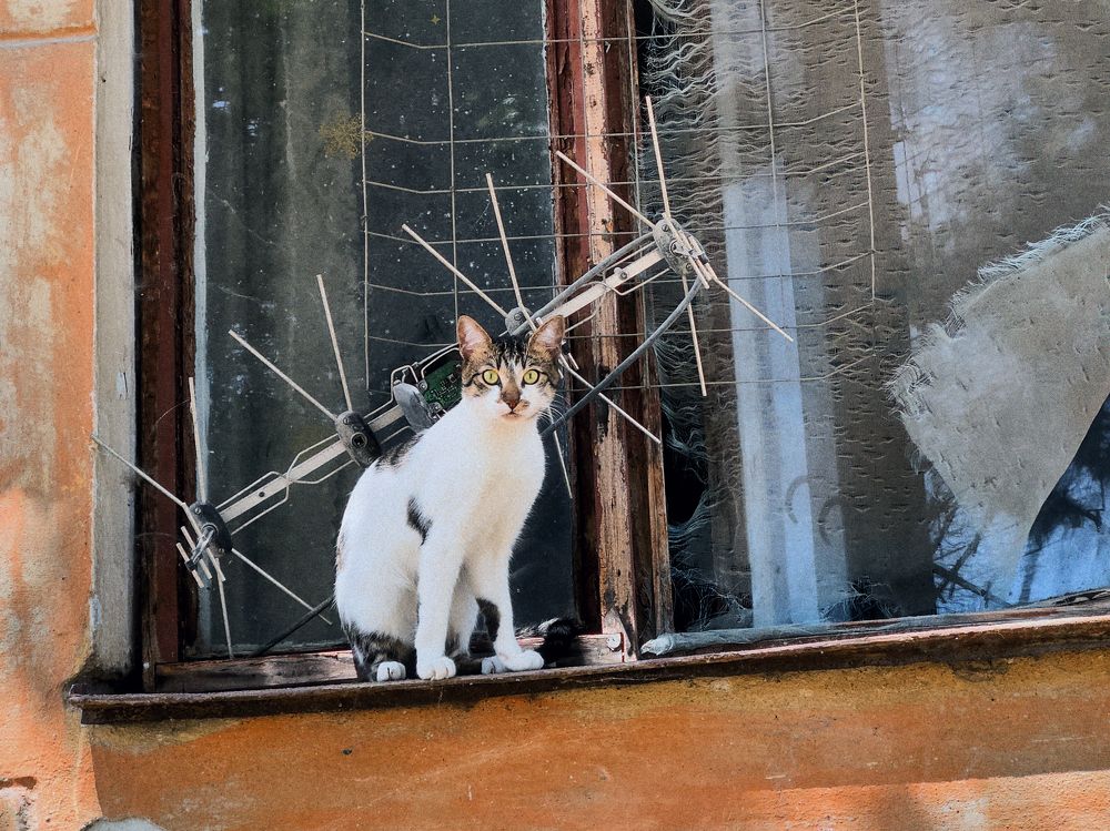 Photograph by Иван Жулдыбин