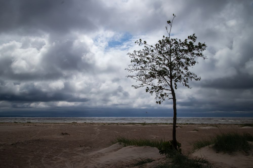 Photograph by Дьяченко Алёна