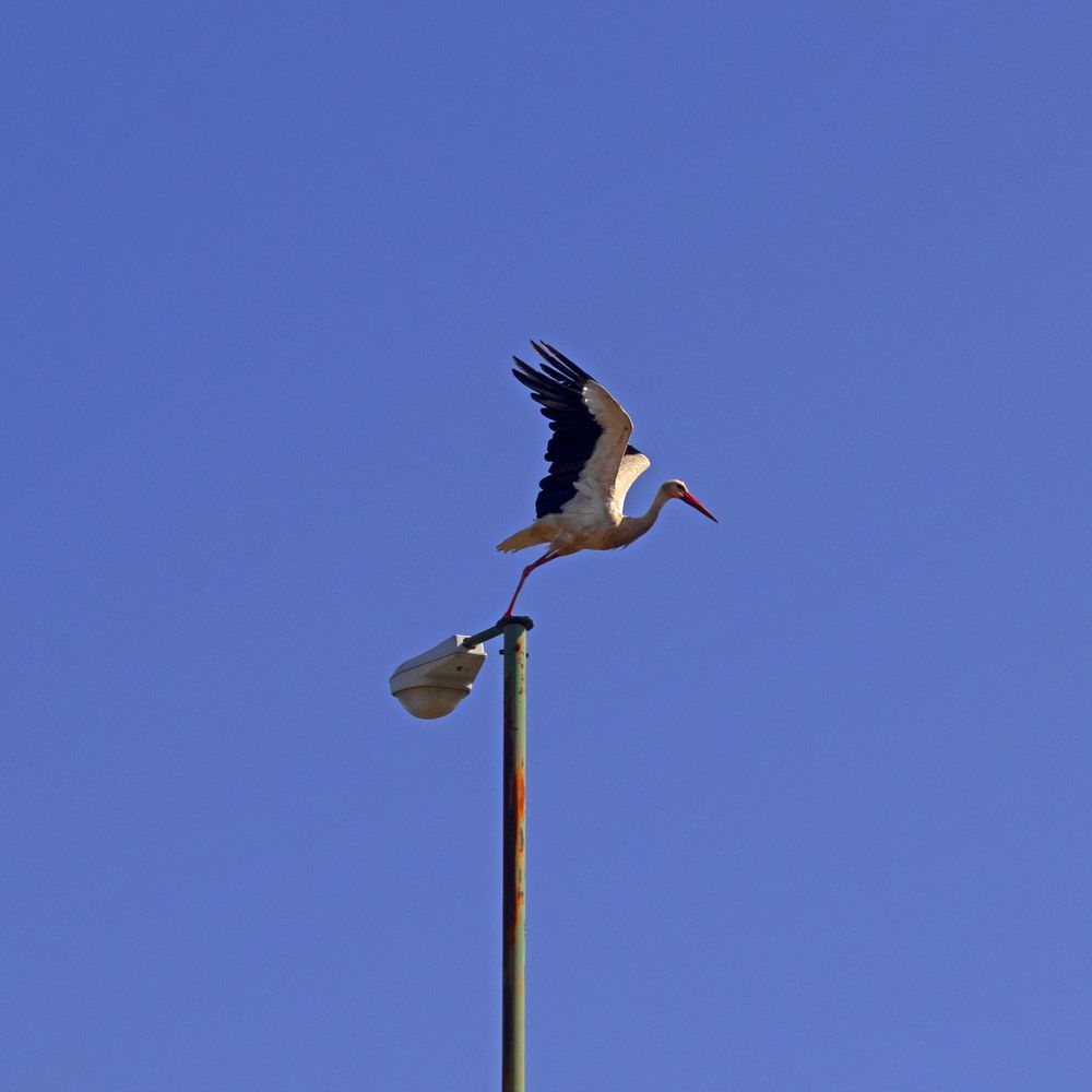 Photograph by Amirhossein Yousefi Keysari