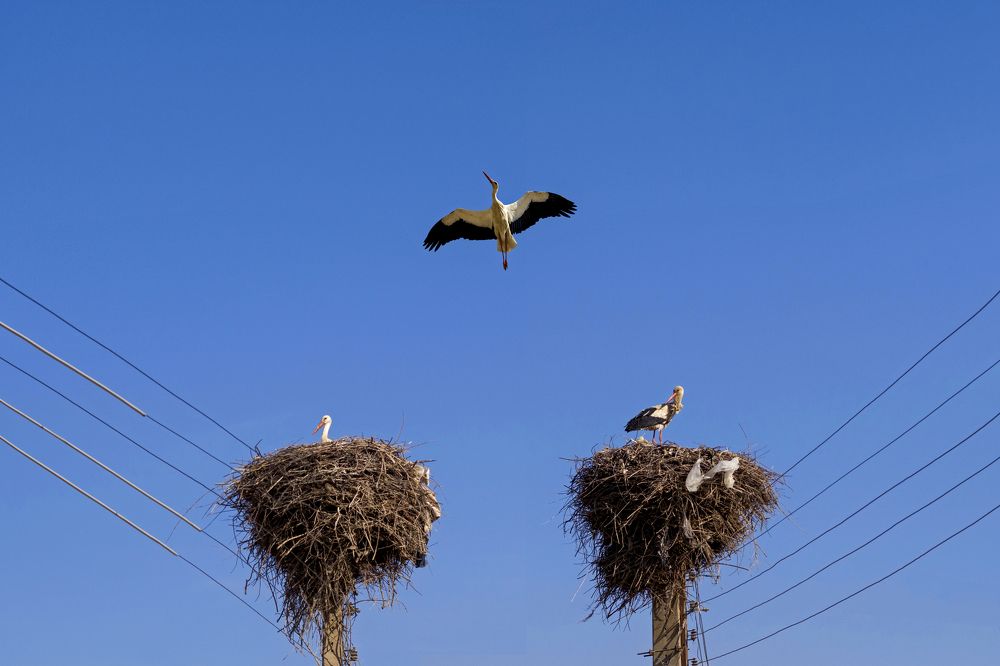 Photograph by Amirhossein Yousefi Keysari