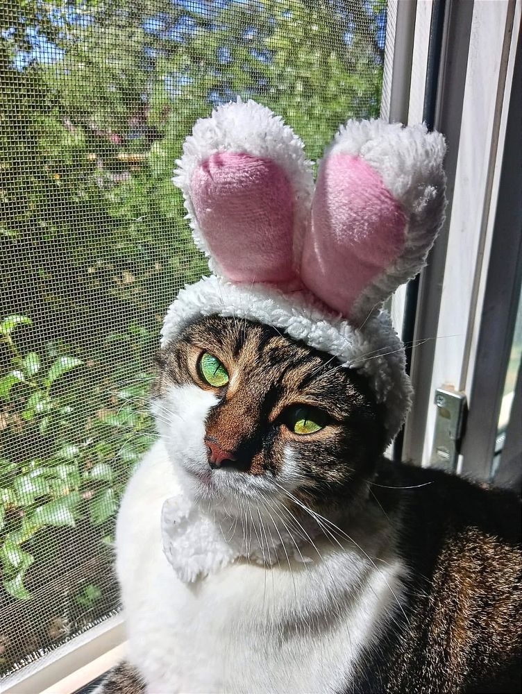 Photograph by Ирина Данилова