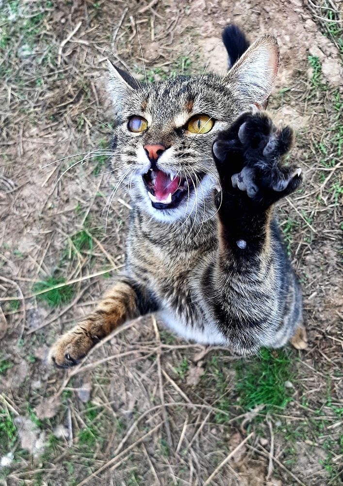 Photograph by Ирина Данилова