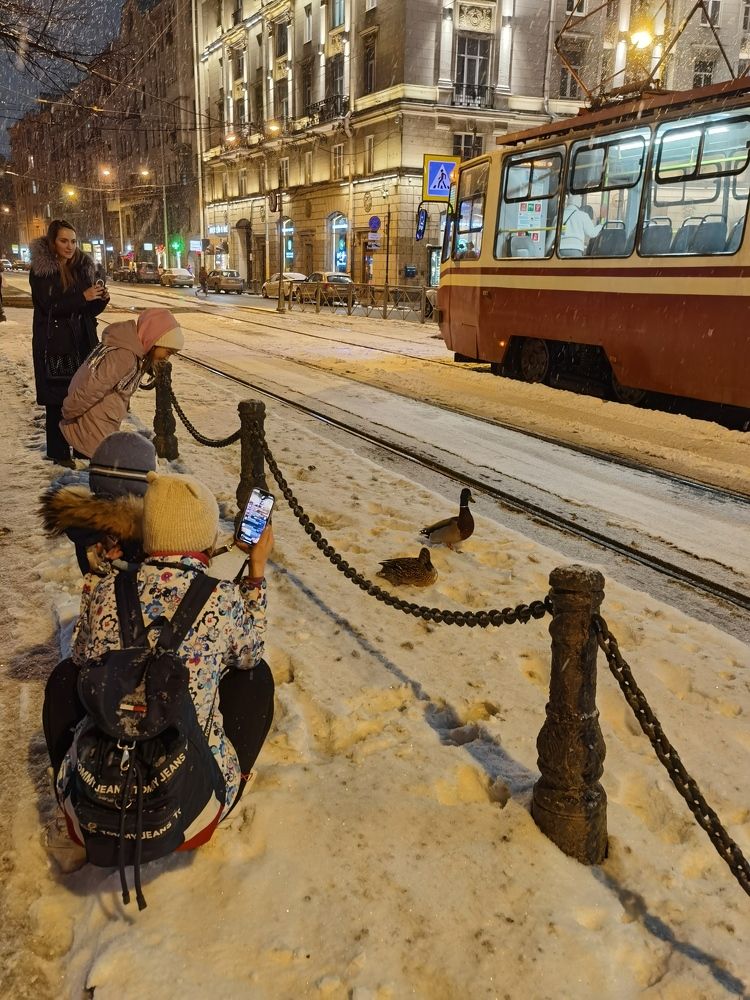 Photograph by Виталий Кореньков