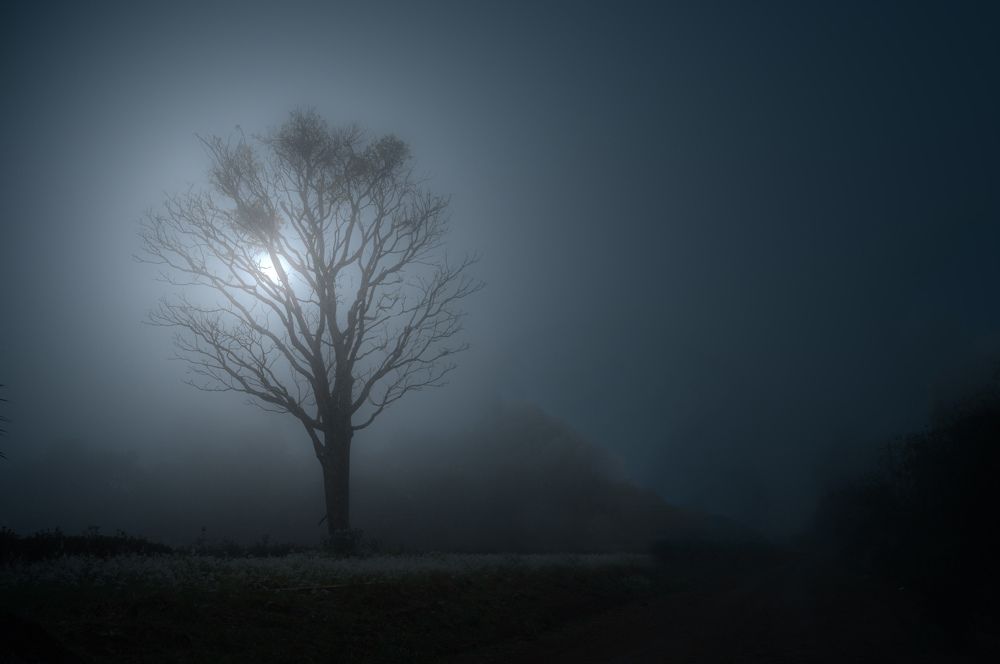 Photograph by Ricardo Kimmich