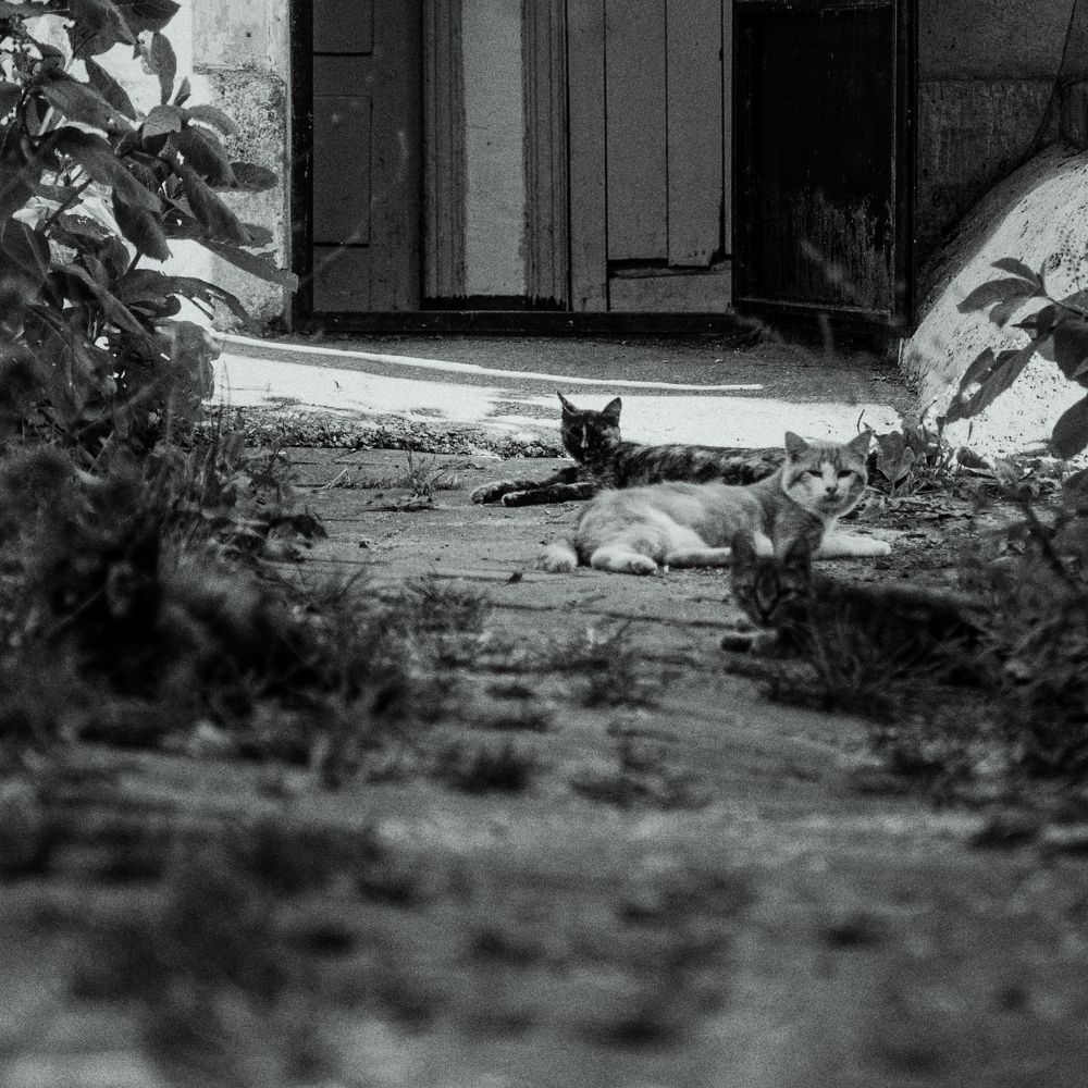 Photograph by Иван Жулдыбин