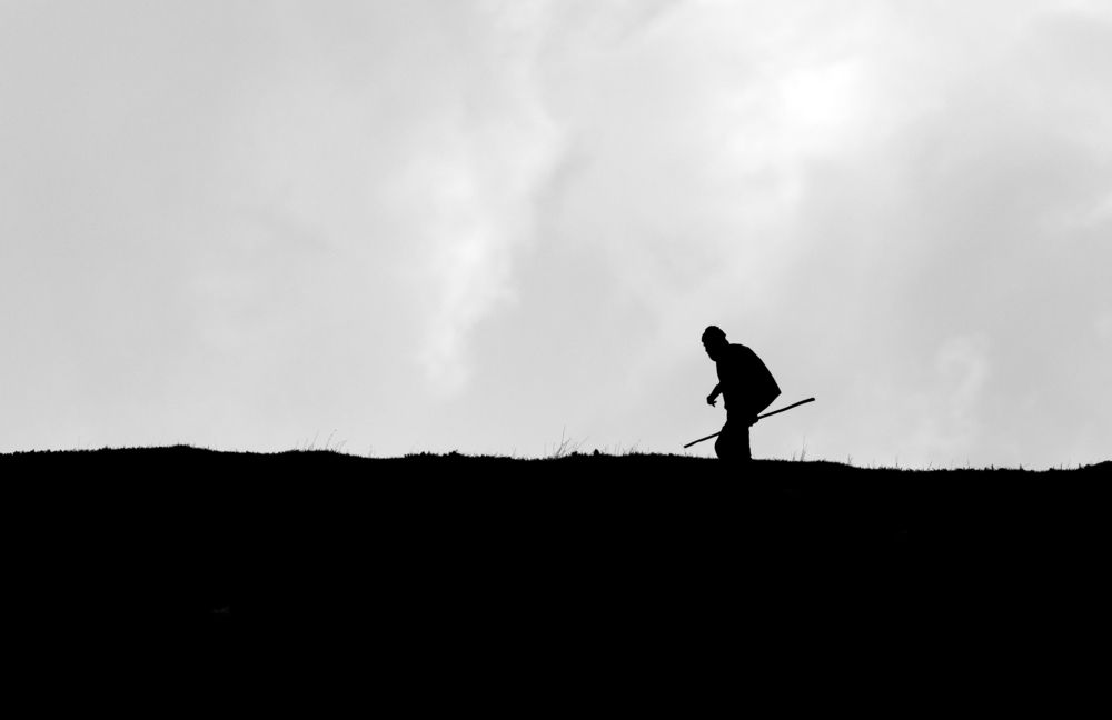 Фотография автора Neslihan Taylan Tülbentci