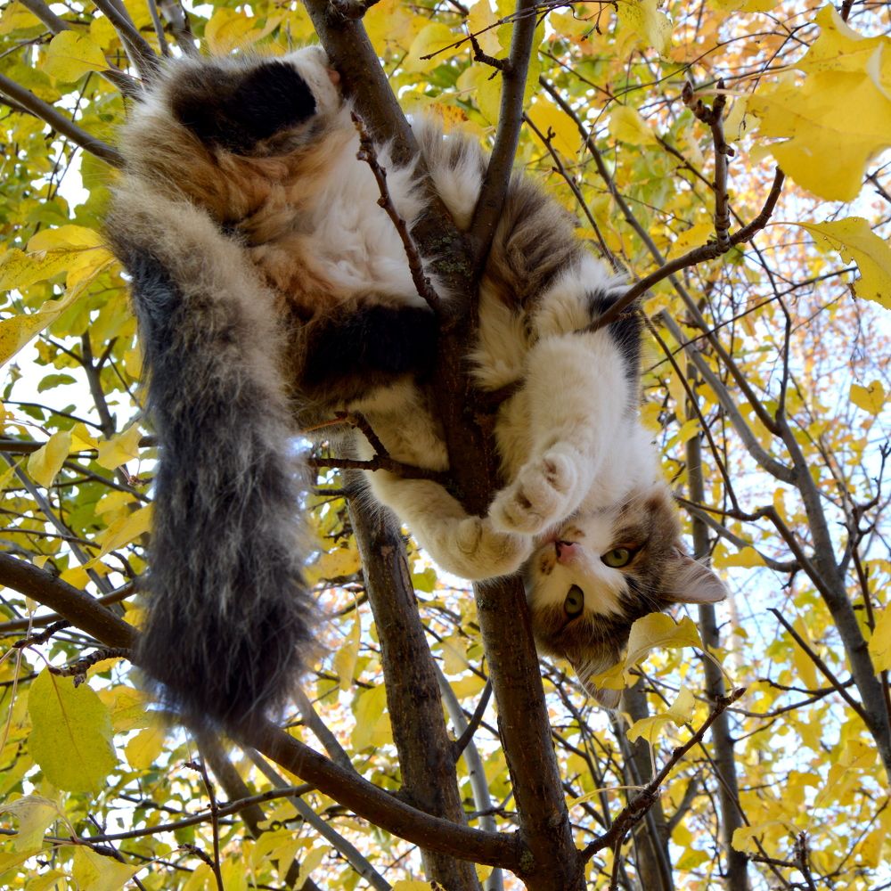 Взгляд сверху