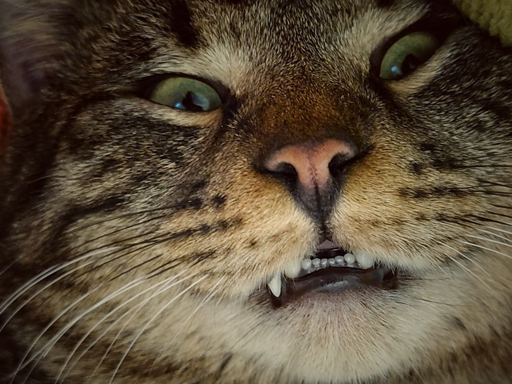 Photograph by Angelo Sab