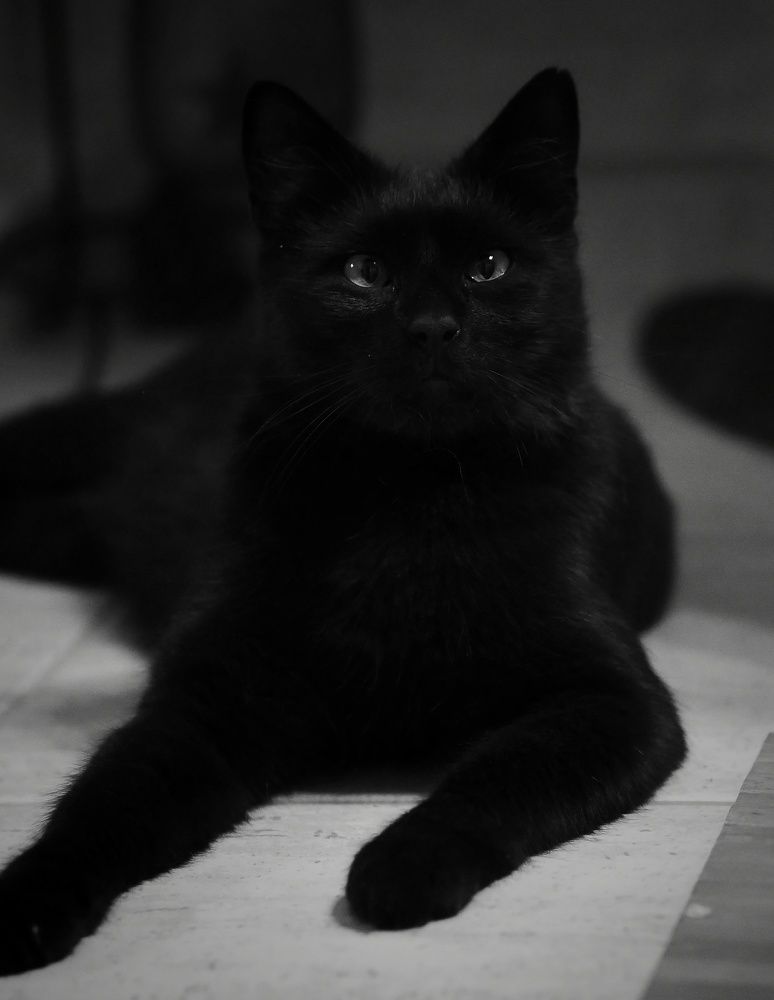 Photograph by Angelo Sab