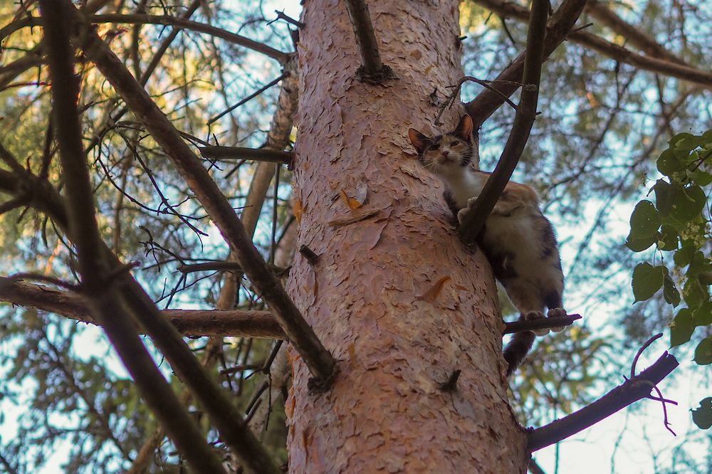 Photograph by Сергей Пушкин