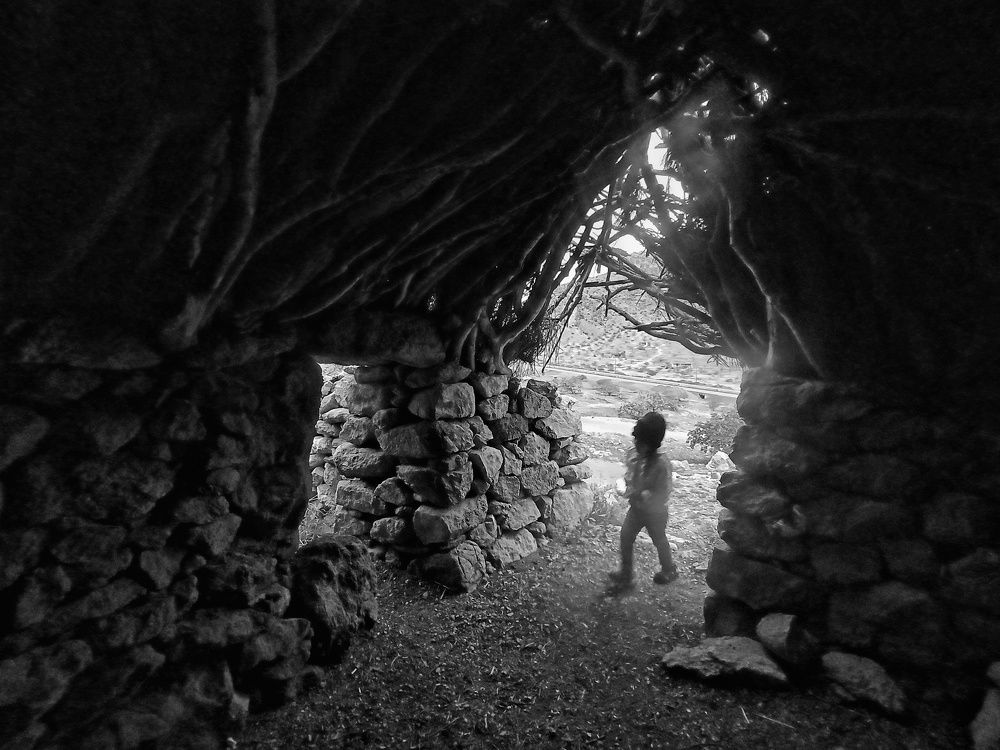 Photograph by Sodabe Arabzade