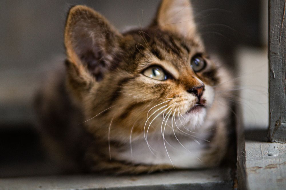 Photograph by Фетисова Анна