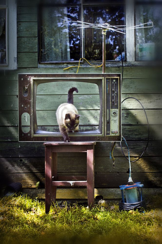 Photograph by Евгений Иванов
