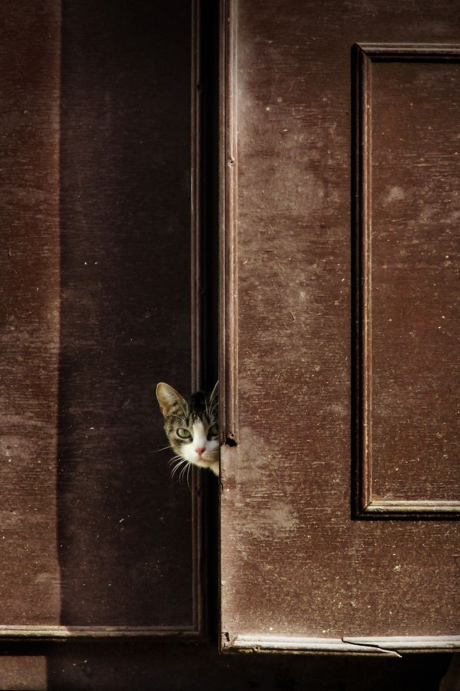 Photograph by Евгений Иванов