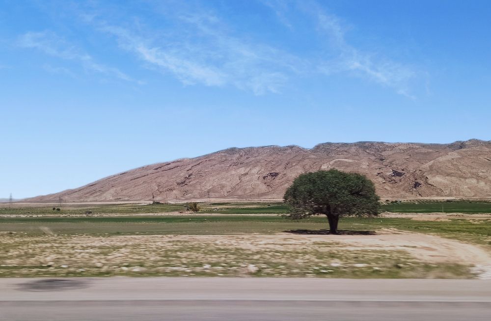 Photograph by Sodabe Arabzade