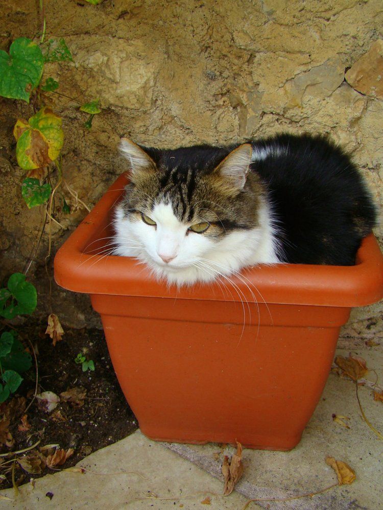 Photograph by Ирина Федичева