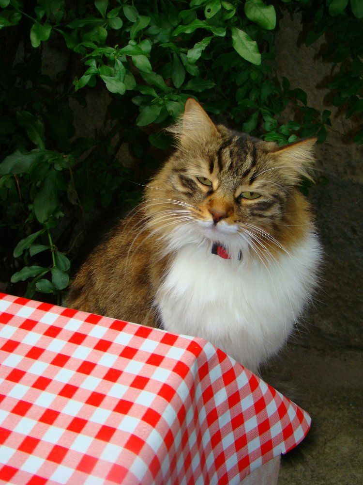 Photograph by Ирина Федичева