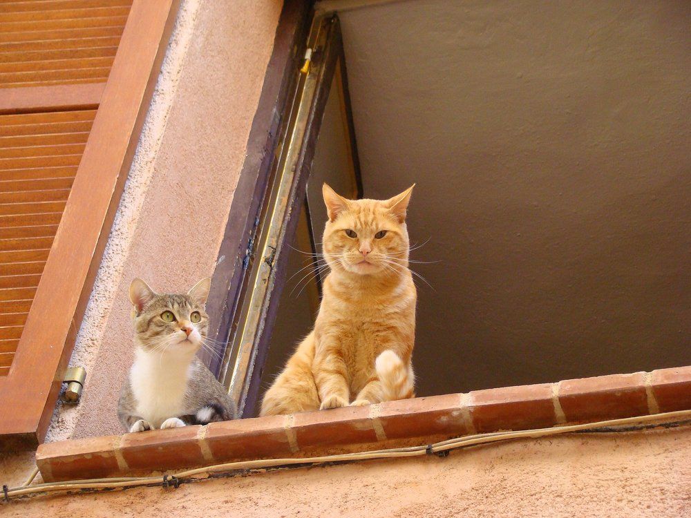 Photograph by Ирина Федичева