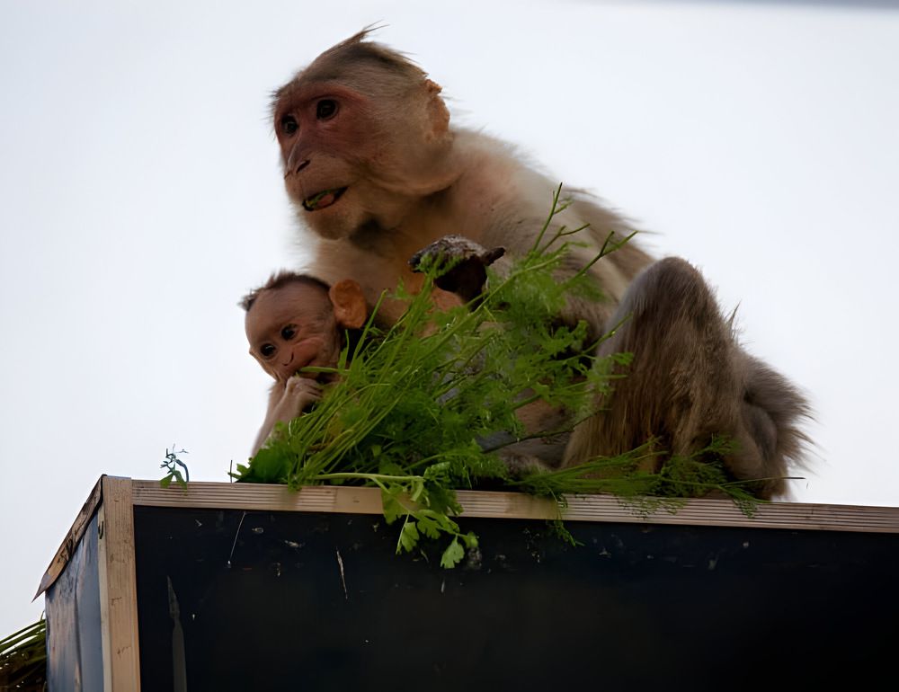 Photograph by Romanov Vyacheslav