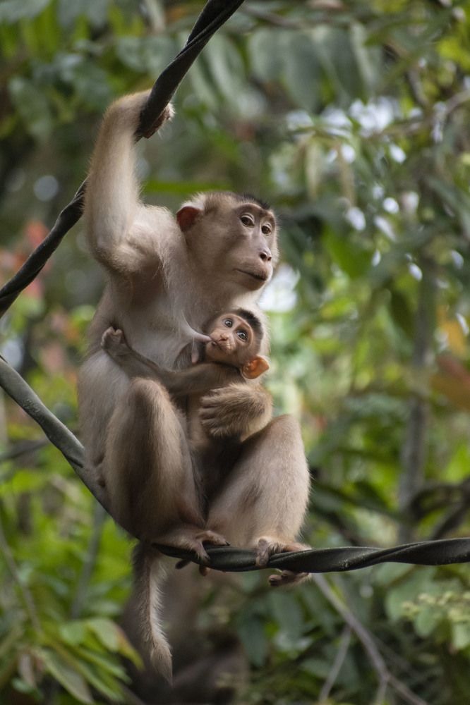 Фотография автора Елена
