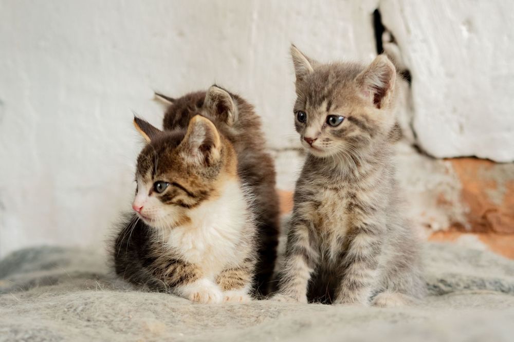 Photograph by Янина Найденцева