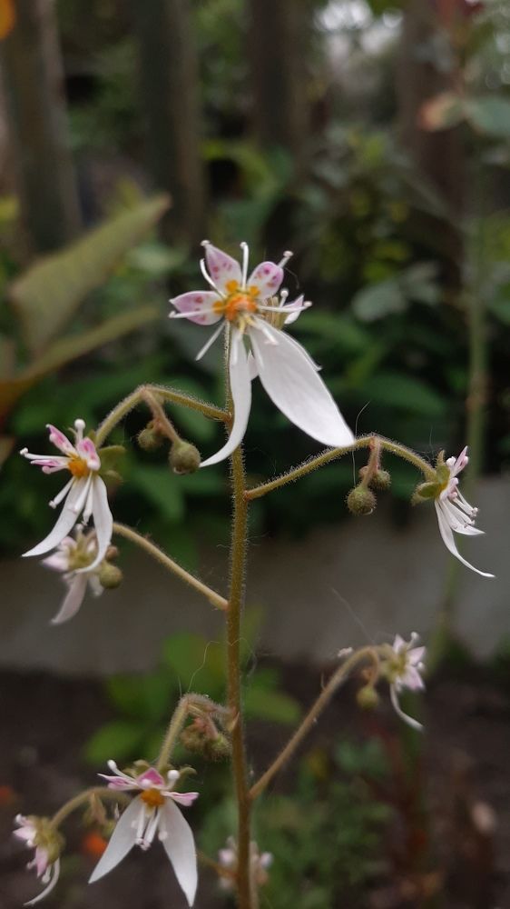 Photograph by Екатерина Абатурова