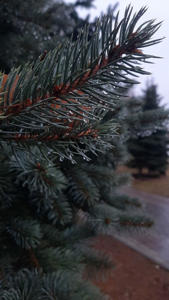 Photograph by Екатерина Абатурова