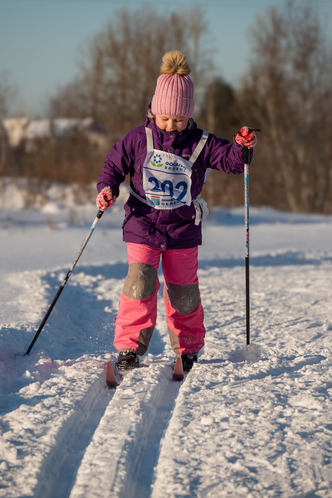 Photograph by Сергей Зимин