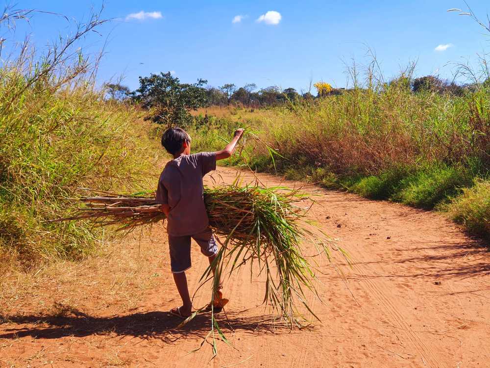 Photograph by Régis Santos