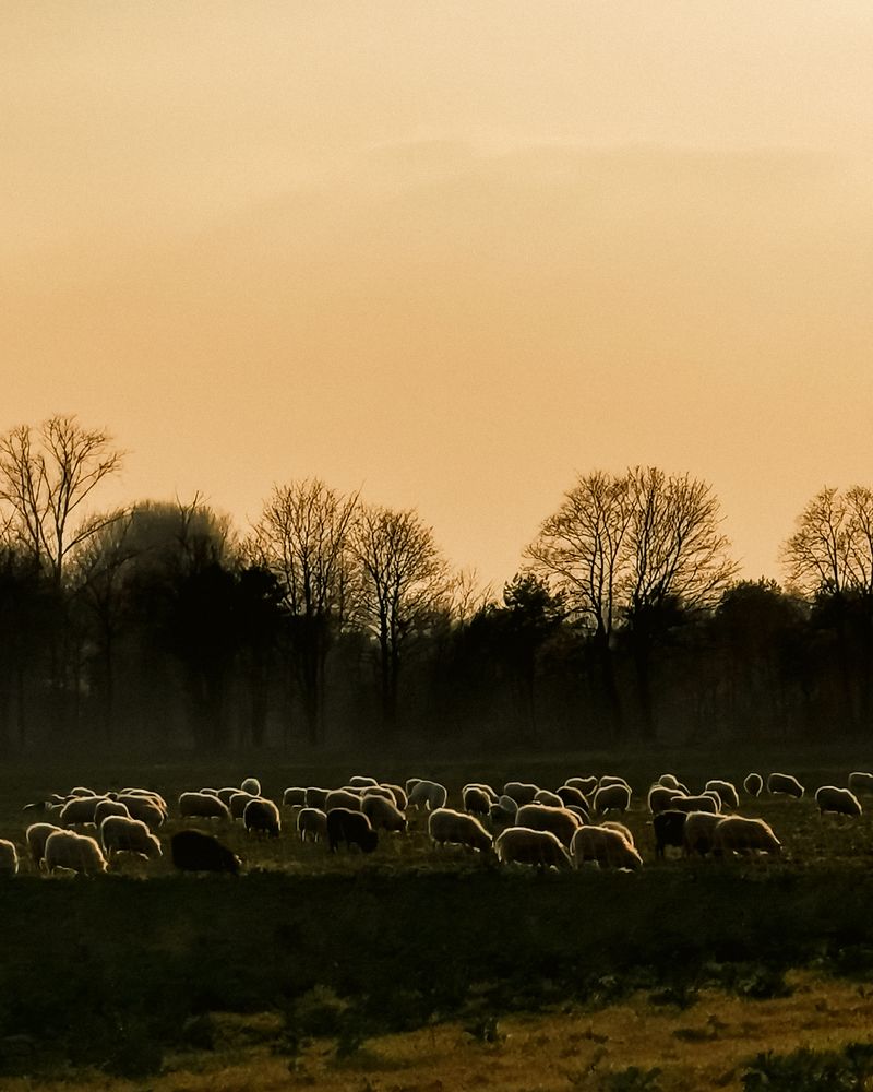 Photograph by Irina Tischer