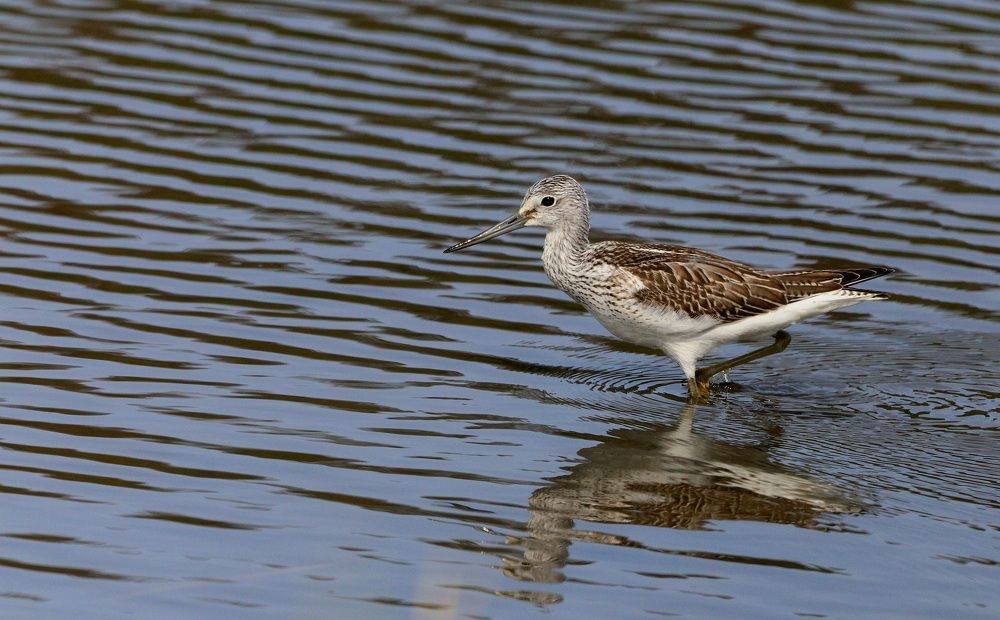 Photograph by Евгений Мельниченко
