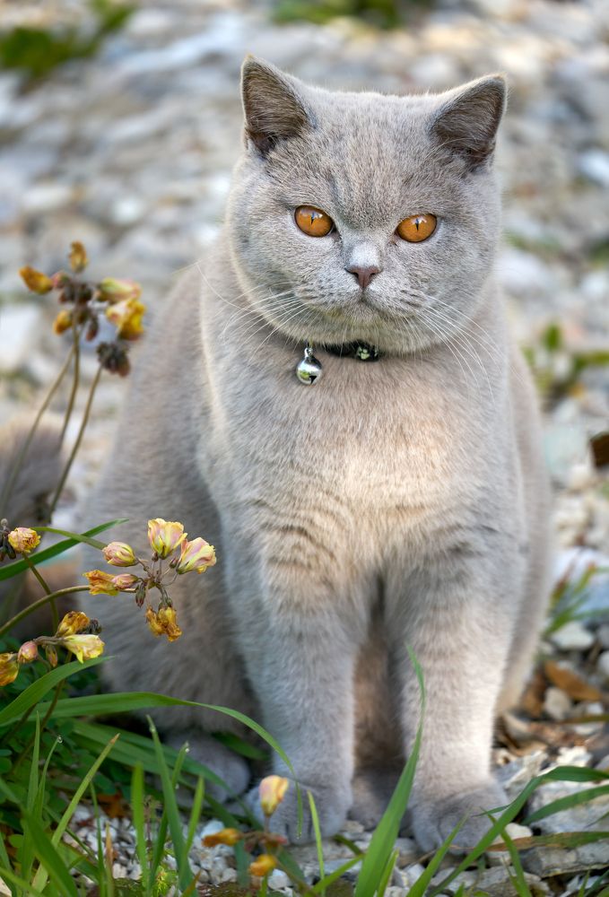 Photograph by Akexey Balen