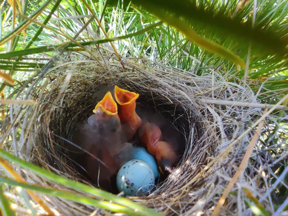 Photograph by JONATHAN VALDEZ